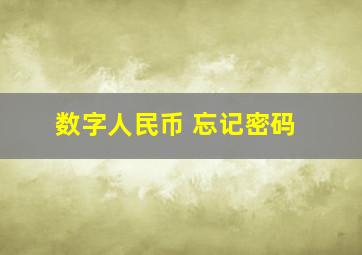 数字人民币 忘记密码